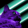 HackadayIO profile picture for @symbiote