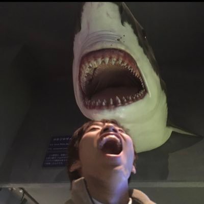 かい's Profile | Hackaday.io