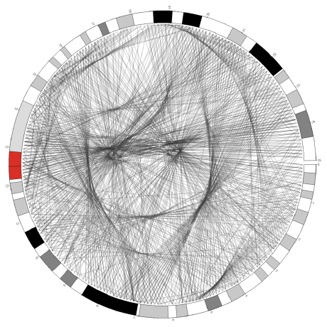 Eric Rasche's Profile | Hackaday.io