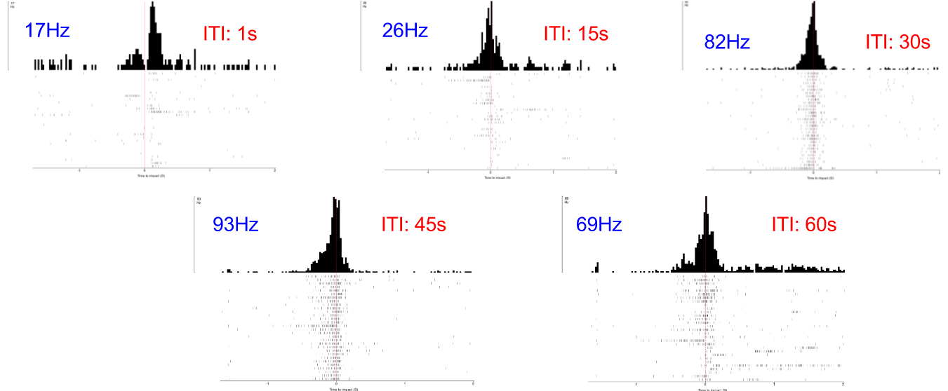 [Summer’16 Internship] Neuroscience of Grasshopper Jumps: New & improved ITI test