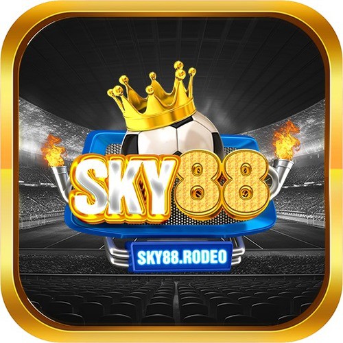 SKY88 rodeo's Profile | Hackaday.io
