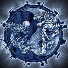 HackadayIO profile picture for @Squell79