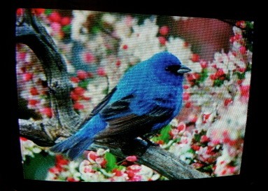 Gallery | Parallax Update Hack Chat | Hackaday.io