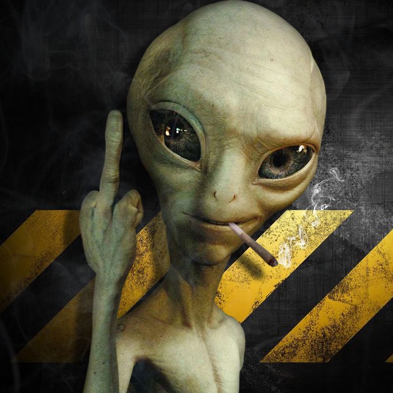 HackadayIO profile picture for @Hoaxes