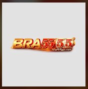 BRA55's Profile | Hackaday.io