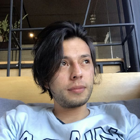 Cristian's Profile | Hackaday.io