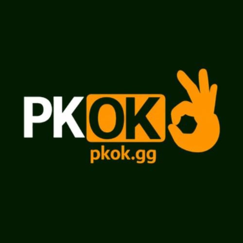 pkokggg's Profile | Hackaday.io