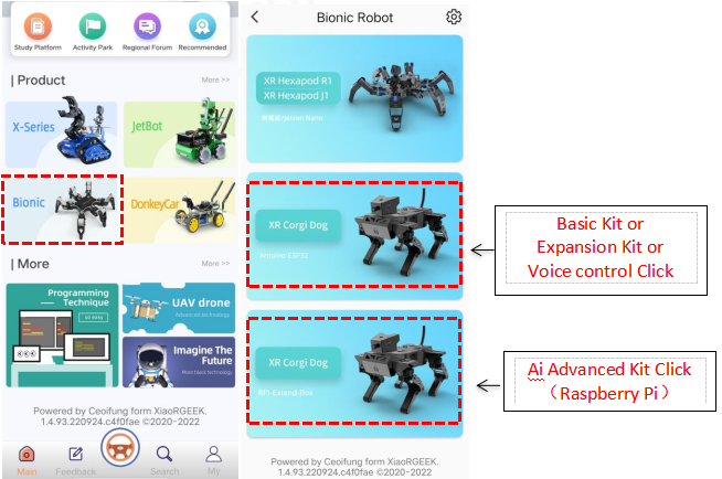 AI advanced version