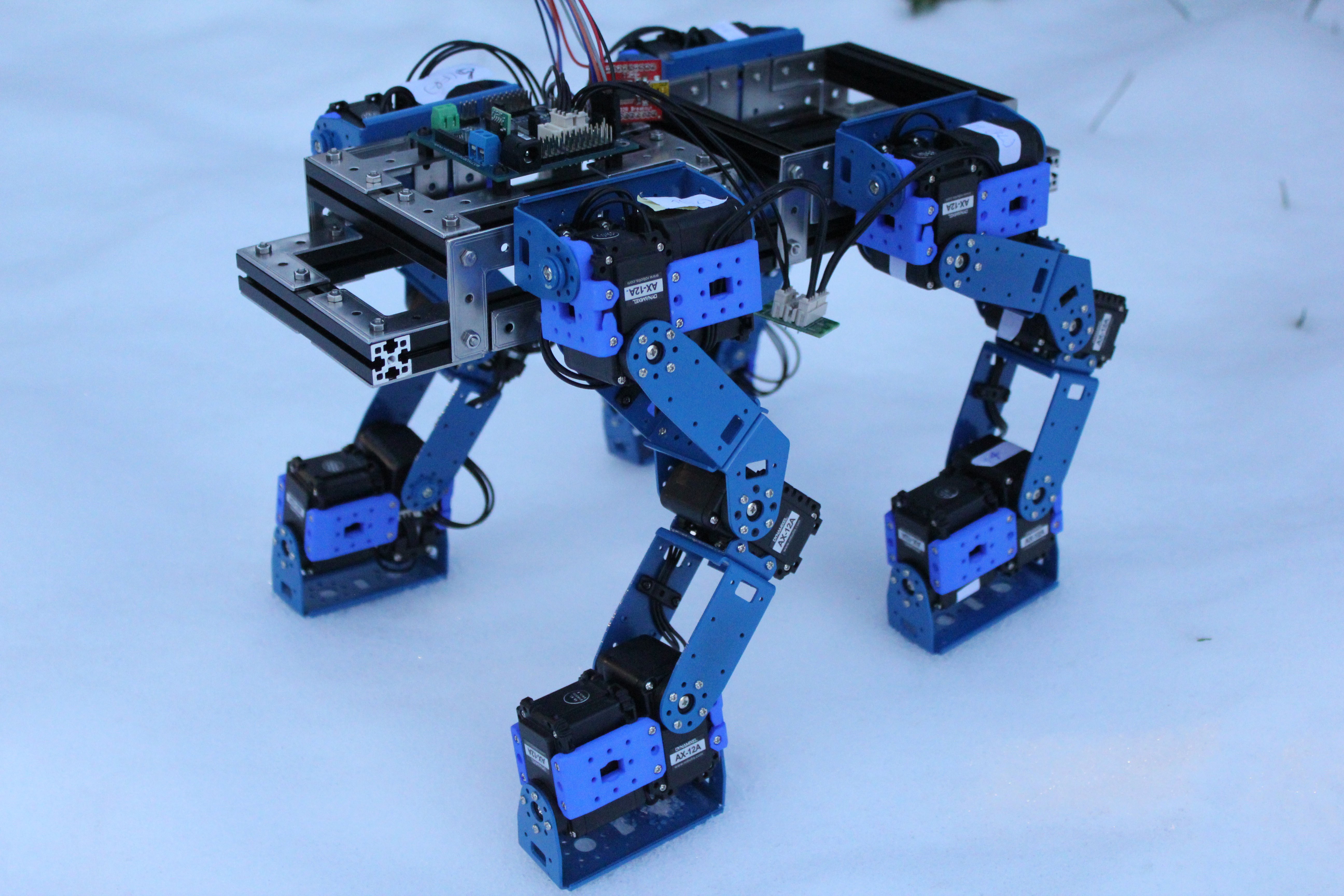 Robot project. Беар-роботс. Разобранный робот. Поисковый робот. Робот лежит.