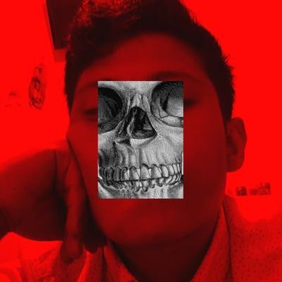 Luis Felipe's Profile | Hackaday.io