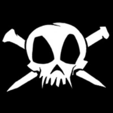 HackadayIO profile picture for @stray