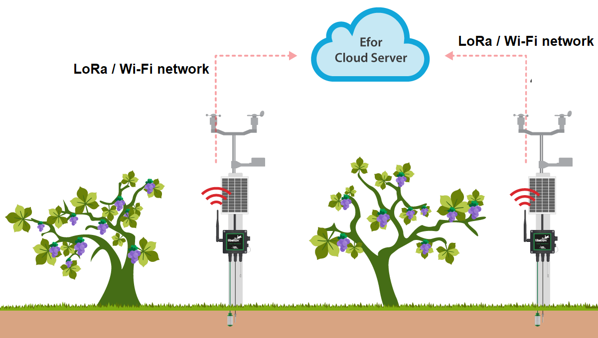 Smart Humidity Sensor for Agriculture Industry