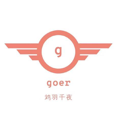 HackadayIO profile picture for @vgoer