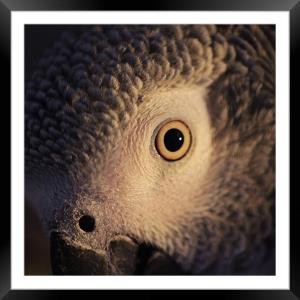 diddy's Profile | Hackaday.io