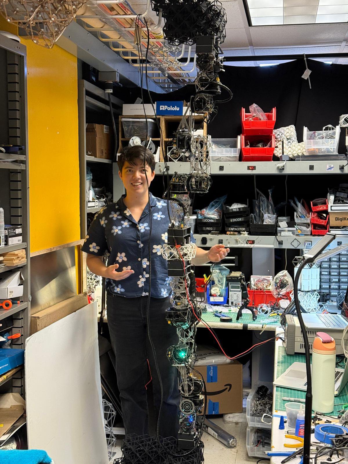 miana's Profile | Hackaday.io