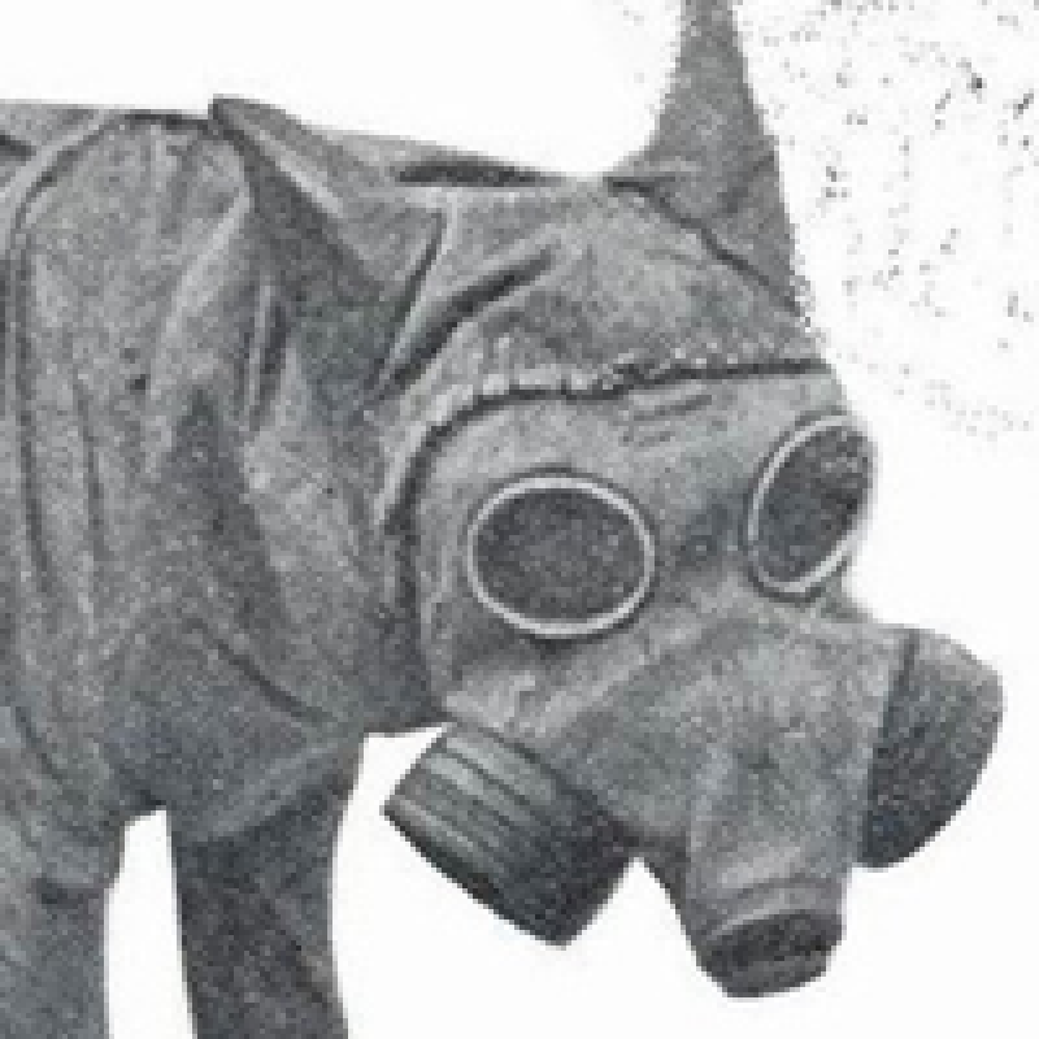 HackadayIO profile picture for @AG