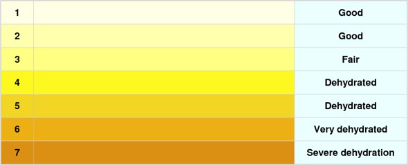 Srm Color Chart