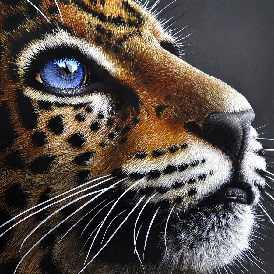 HackadayIO profile picture for @Jaguar