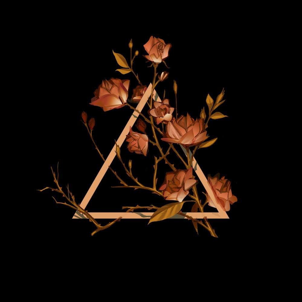 HackadayIO profile picture for @JMC