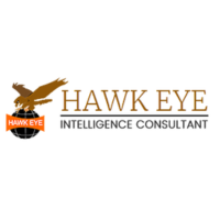 Hawkeye Detective's Profile | Hackaday.io