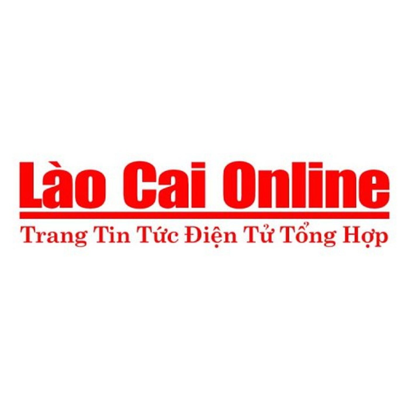 Lao Cai online's Profile | Hackaday.io