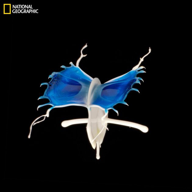 HackadayIO profile picture for @scorpion