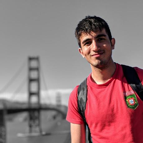Ali Toyserkani's Profile | Hackaday.io