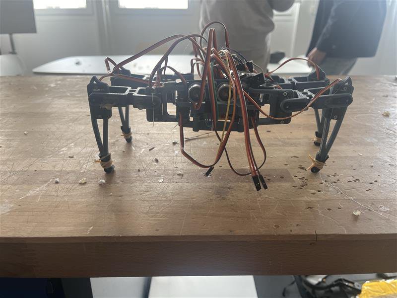 Gallery | Charli The Spider | Hackaday.io