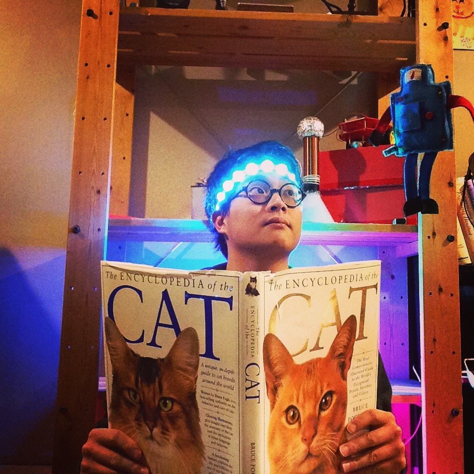 superkittens's Profile | Hackaday.io