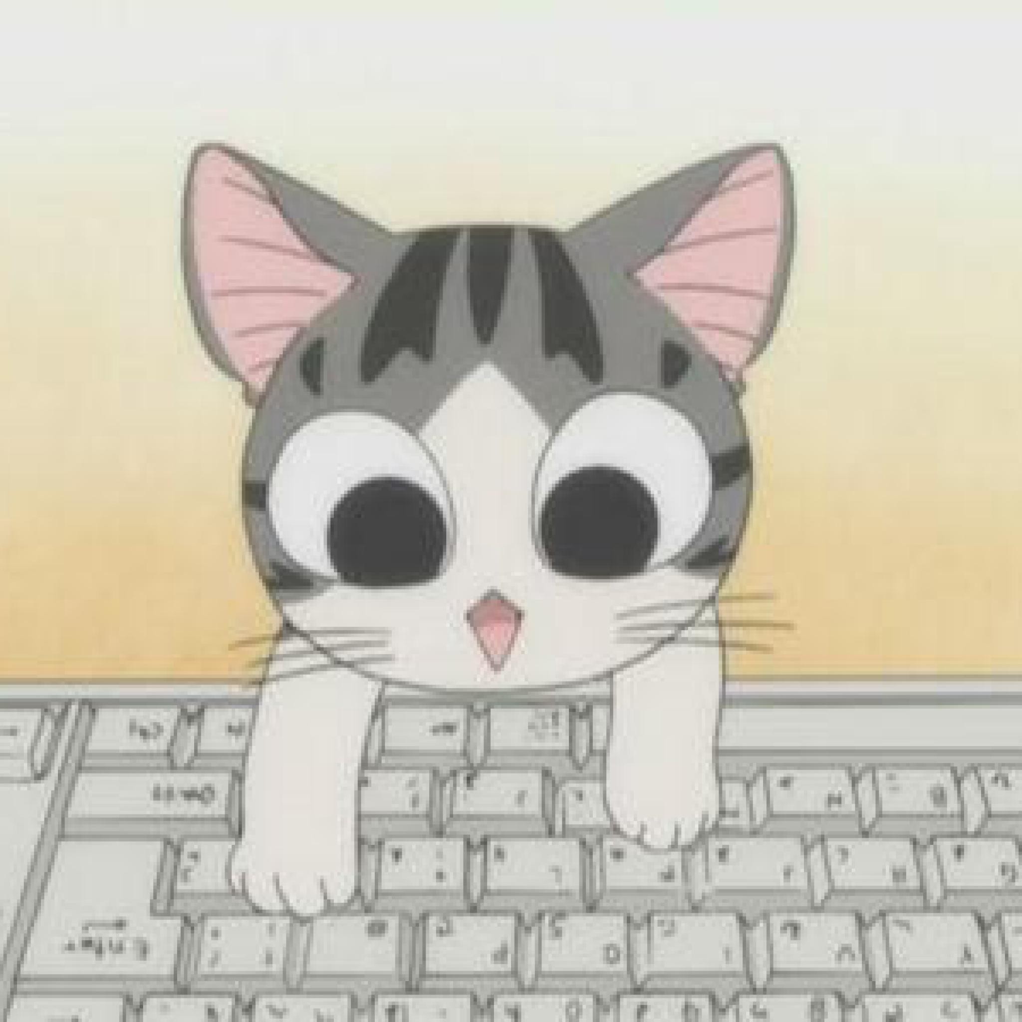 Cat Chatroom