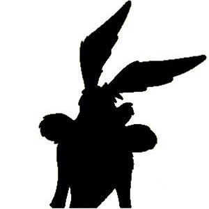 Coyote's Profile | Hackaday.io