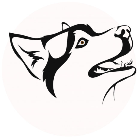 Benjamin's Profile | Hackaday.io
