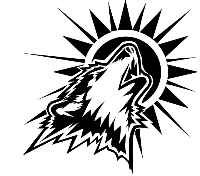 HackadayIO profile picture for @MOST