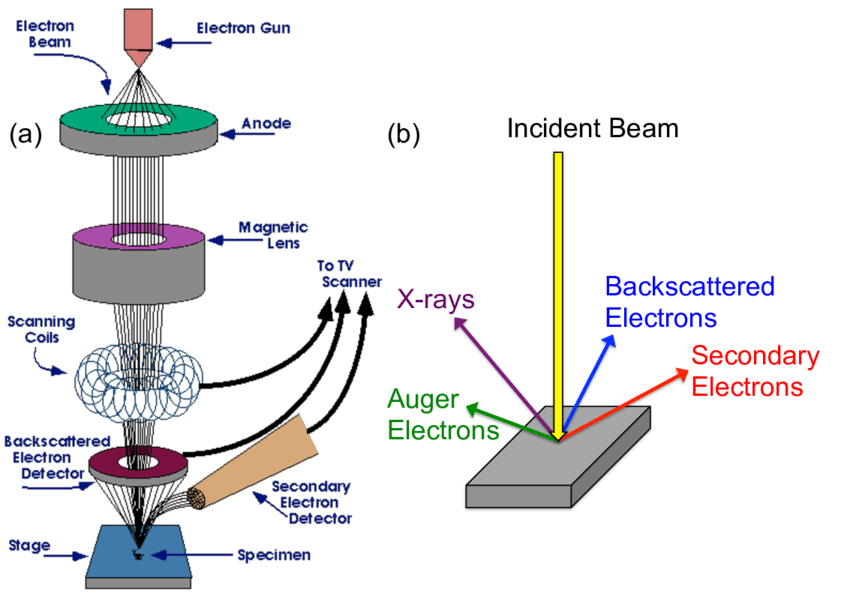 Electron microscopy