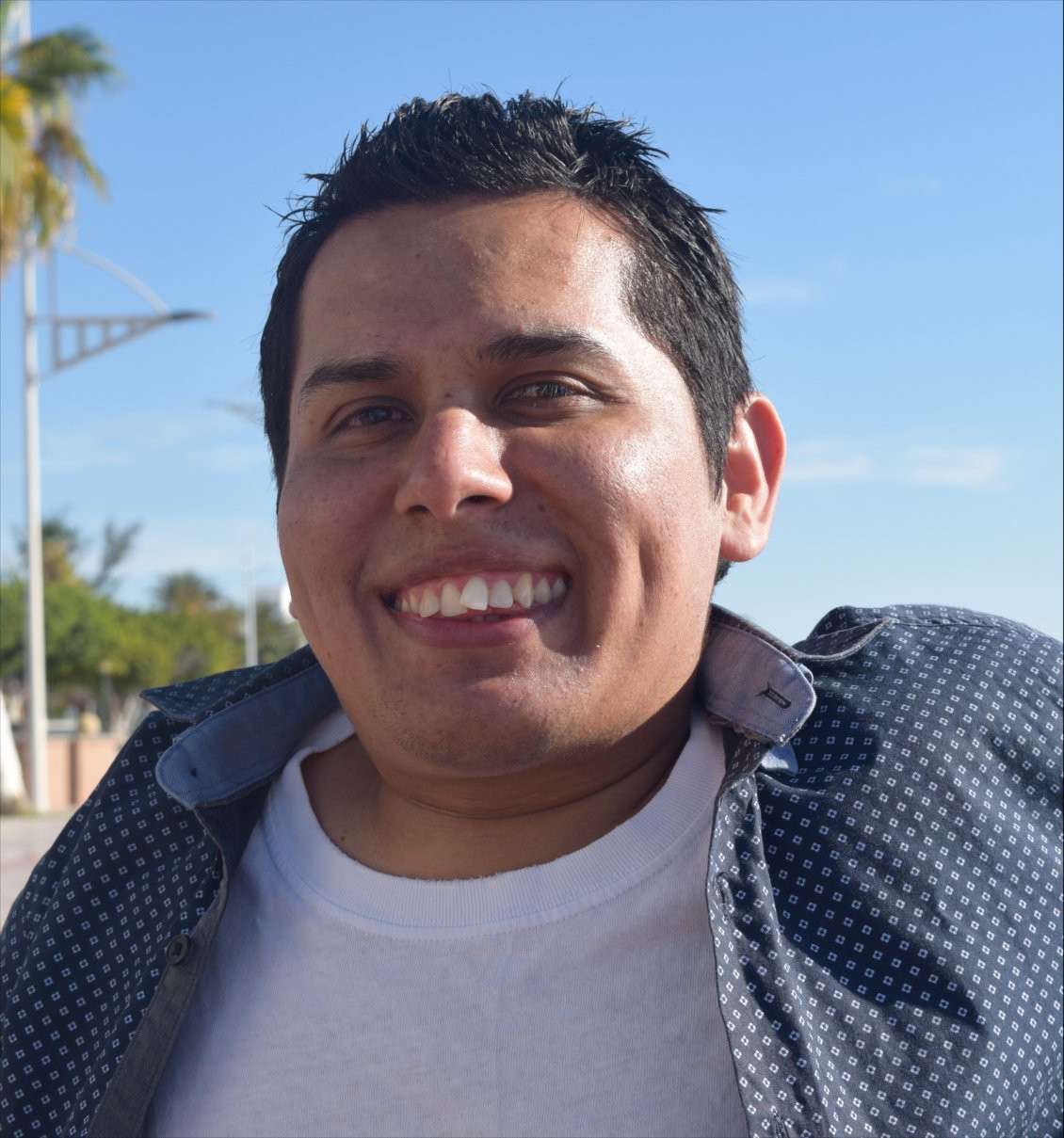 Jose Luis G. Torres's Profile | Hackaday.io
