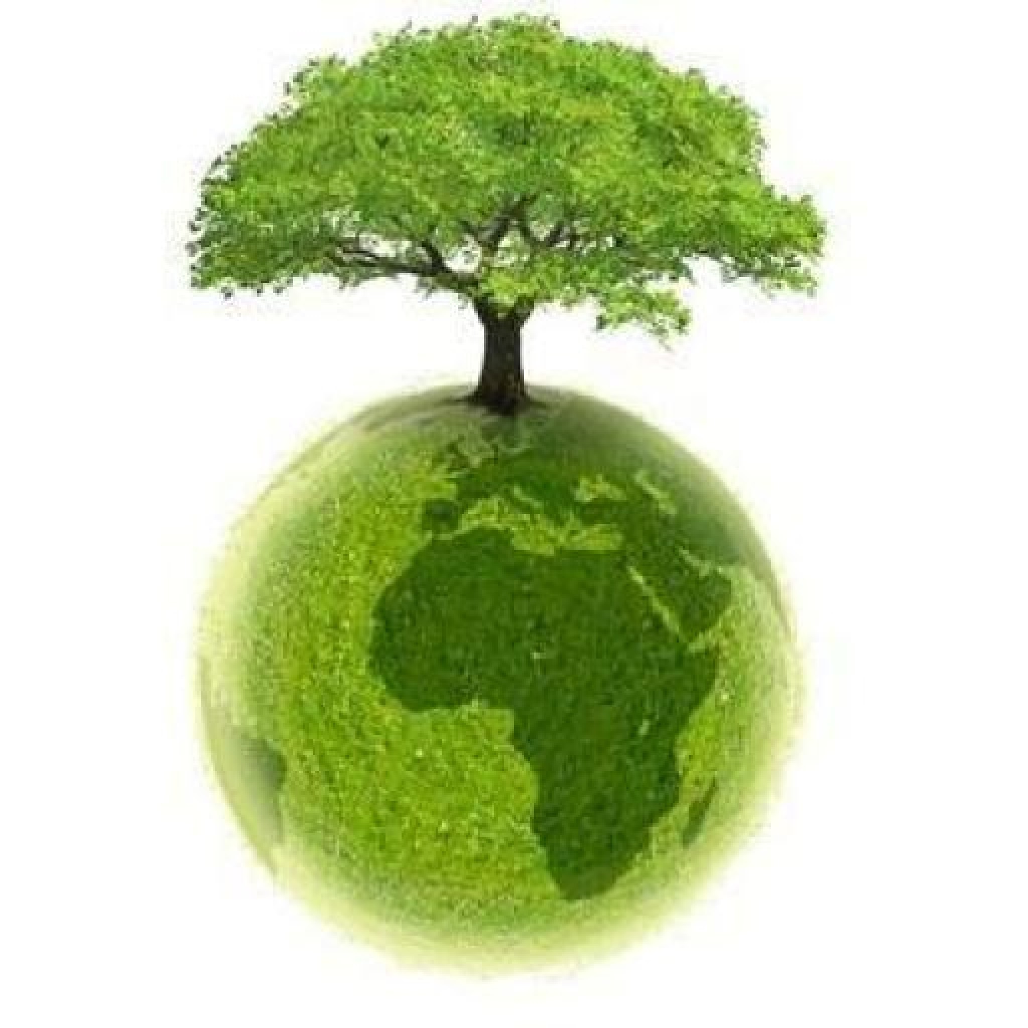 Зеленая земля что делать. Дерево на земном шаре. Деревья легкие планеты. Экологическое дерево. Экология планеты.