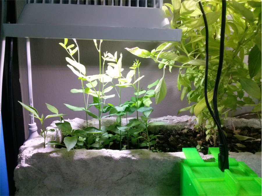 growbot automatic light depivation system