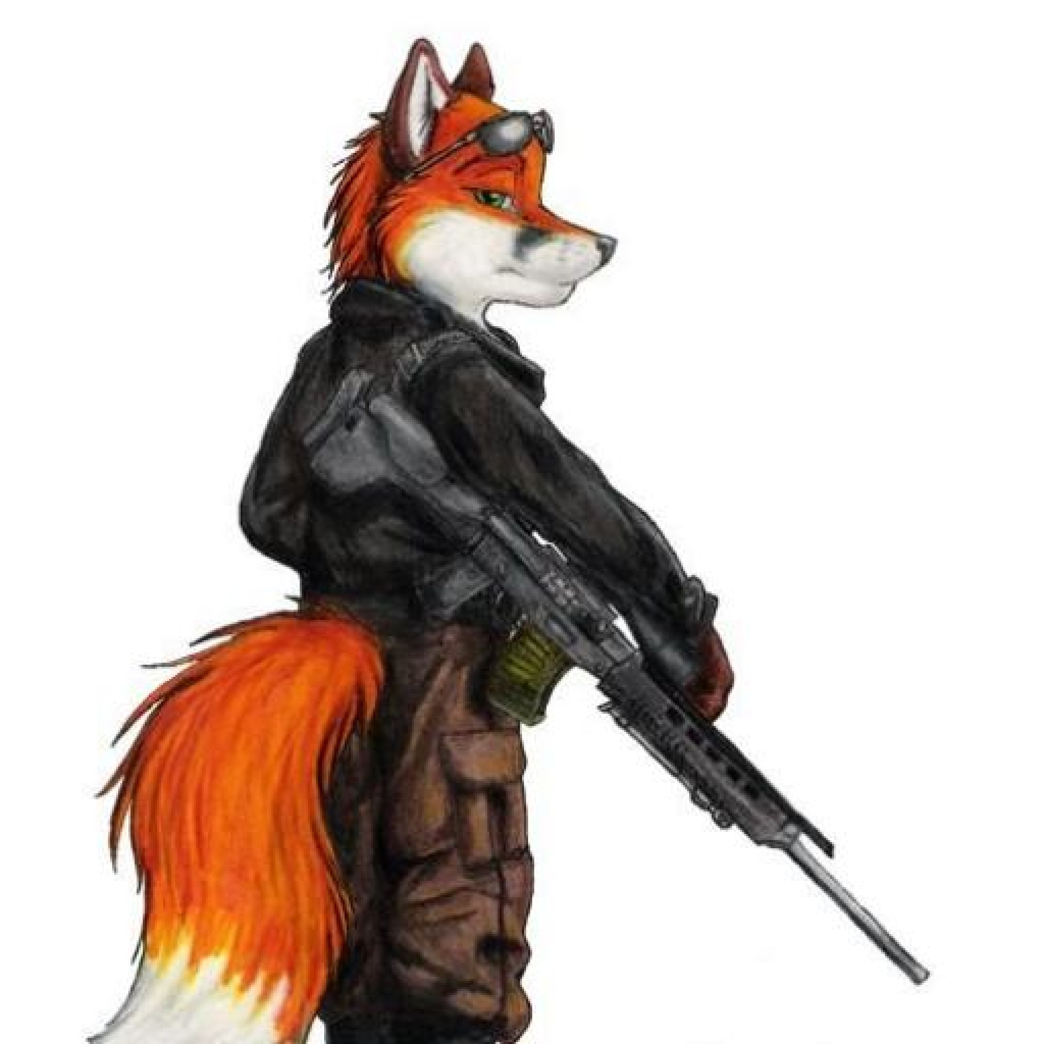 Fox's Profile | Hackaday.io
