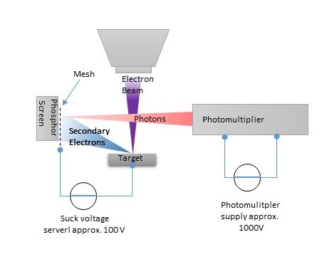 photolemur 3 and photomechanic