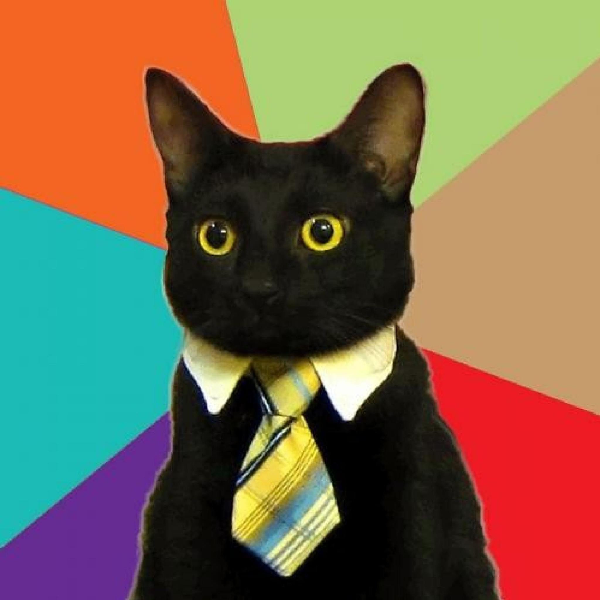 HackadayIO profile picture for @conrad