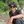 ashimpokharel