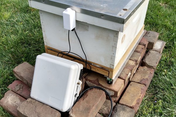 Beehive Monitor