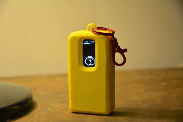 Pocket Traveler