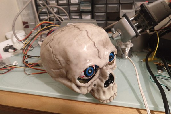 The Face of DTW Projects