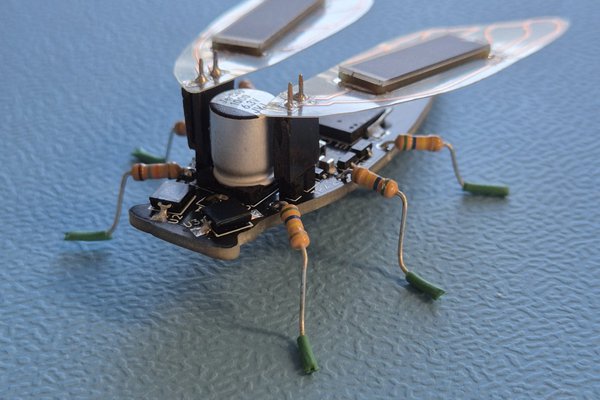 Screaming Solar Cicada
