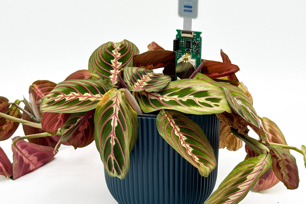 E-paper houseplant watering monitor