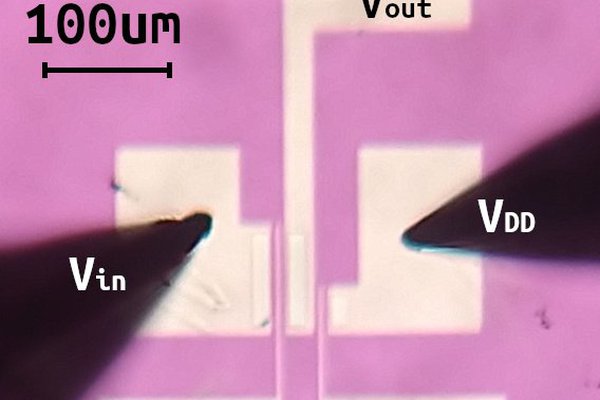 Fabrication, Analysis and Modeling of IGZO TFT Amp