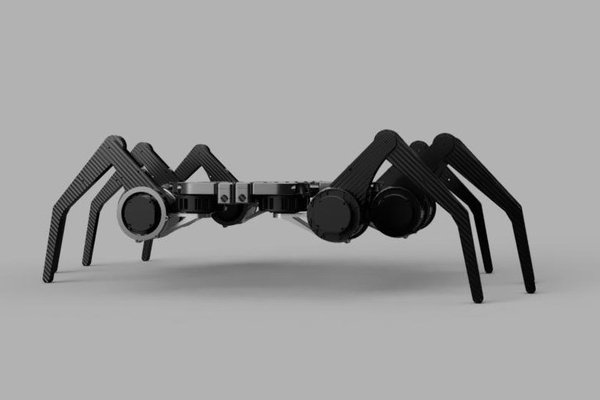 The Unnamed Spider bot