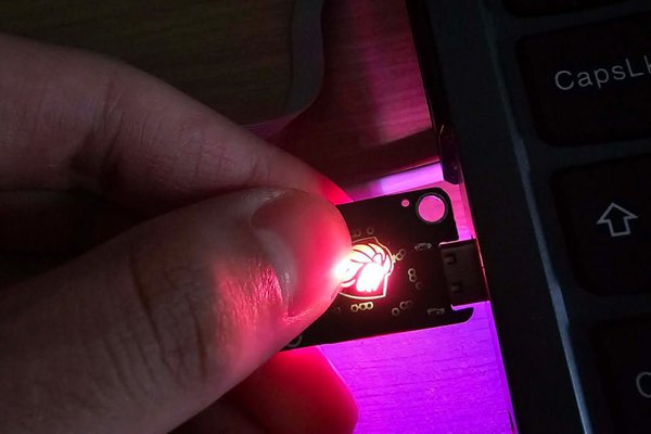 LionKey: FIDO2 USB-A/C key for passwordless login