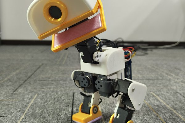 XGO-Duck: A Microduck-Based DIY Biped Built Around